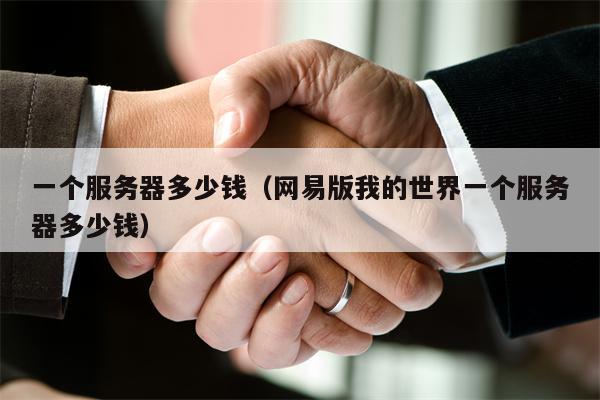 一个服务器多少钱（网易版我的世界一个服务器多少钱）