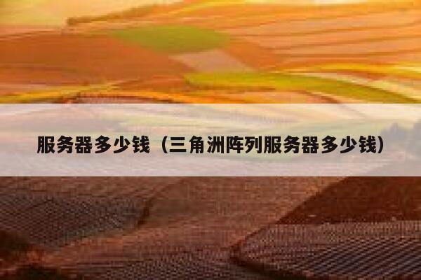 服务器多少钱（三角洲阵列服务器多少钱）