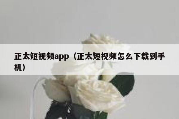 正太短视频app（正太短视频怎么下载到手机）